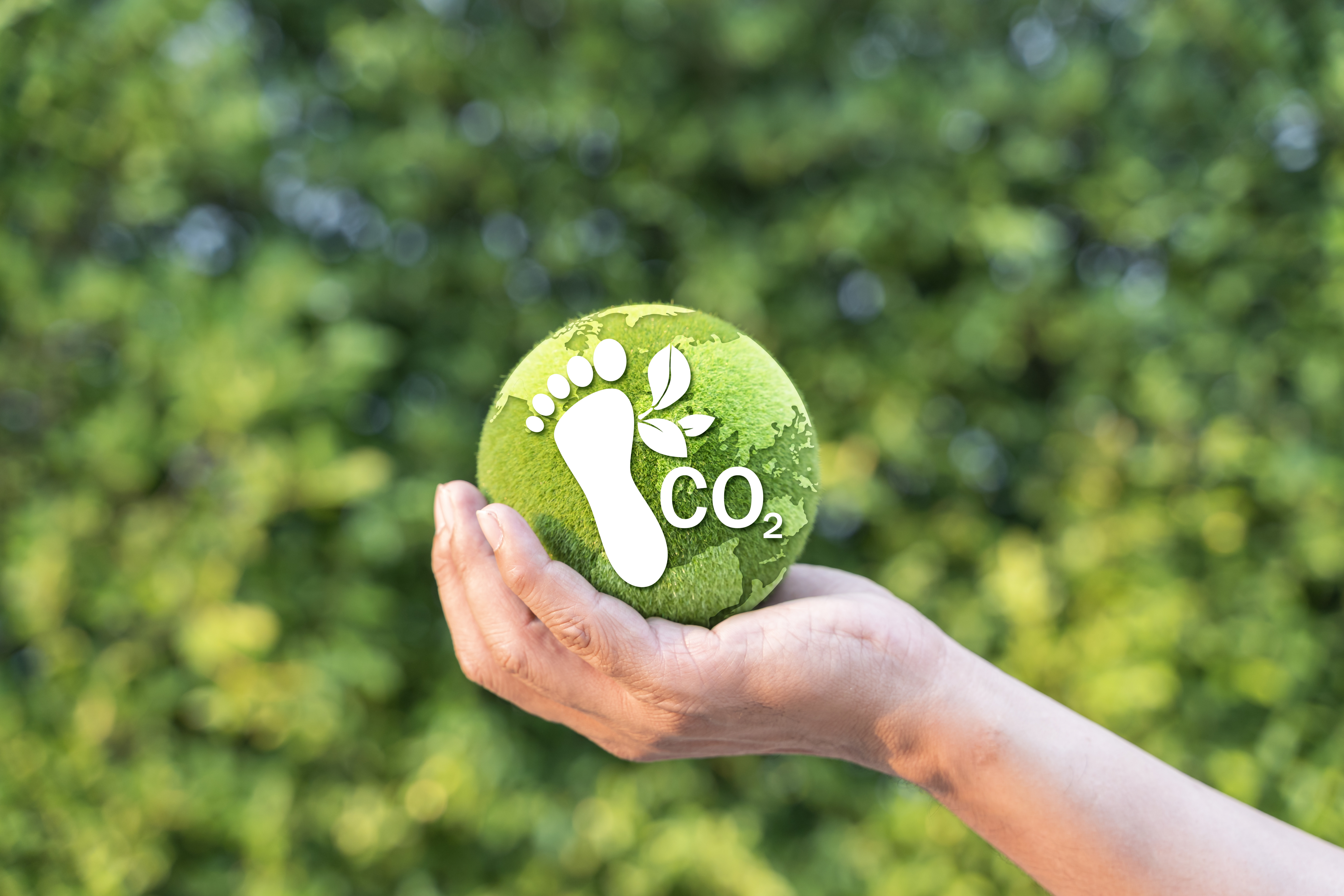 Carbon as Capital: India’s $1.7 Billion Carbon Footprint Management Market and Its Path to Global Leadership