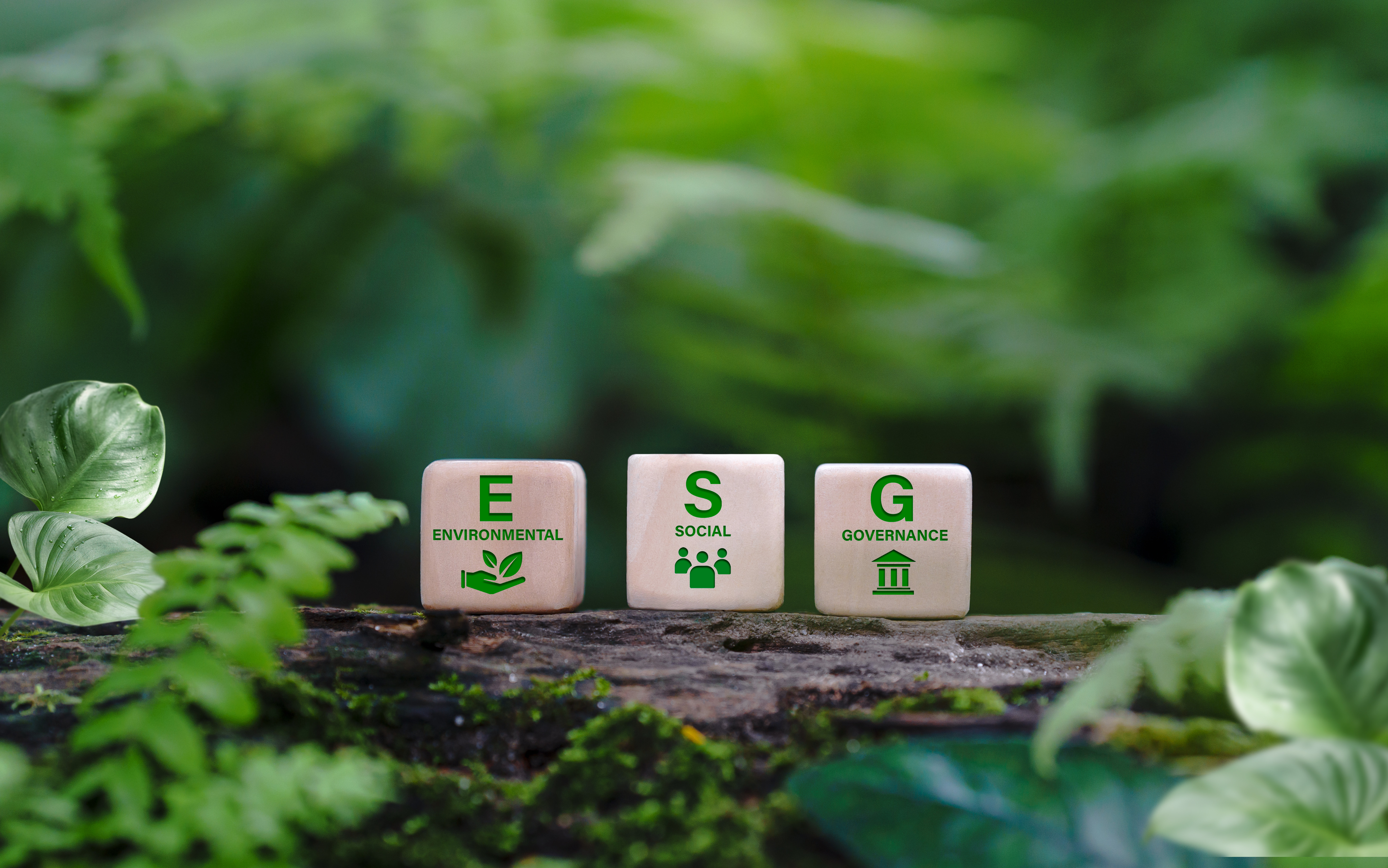 ESG: The Green Ethic