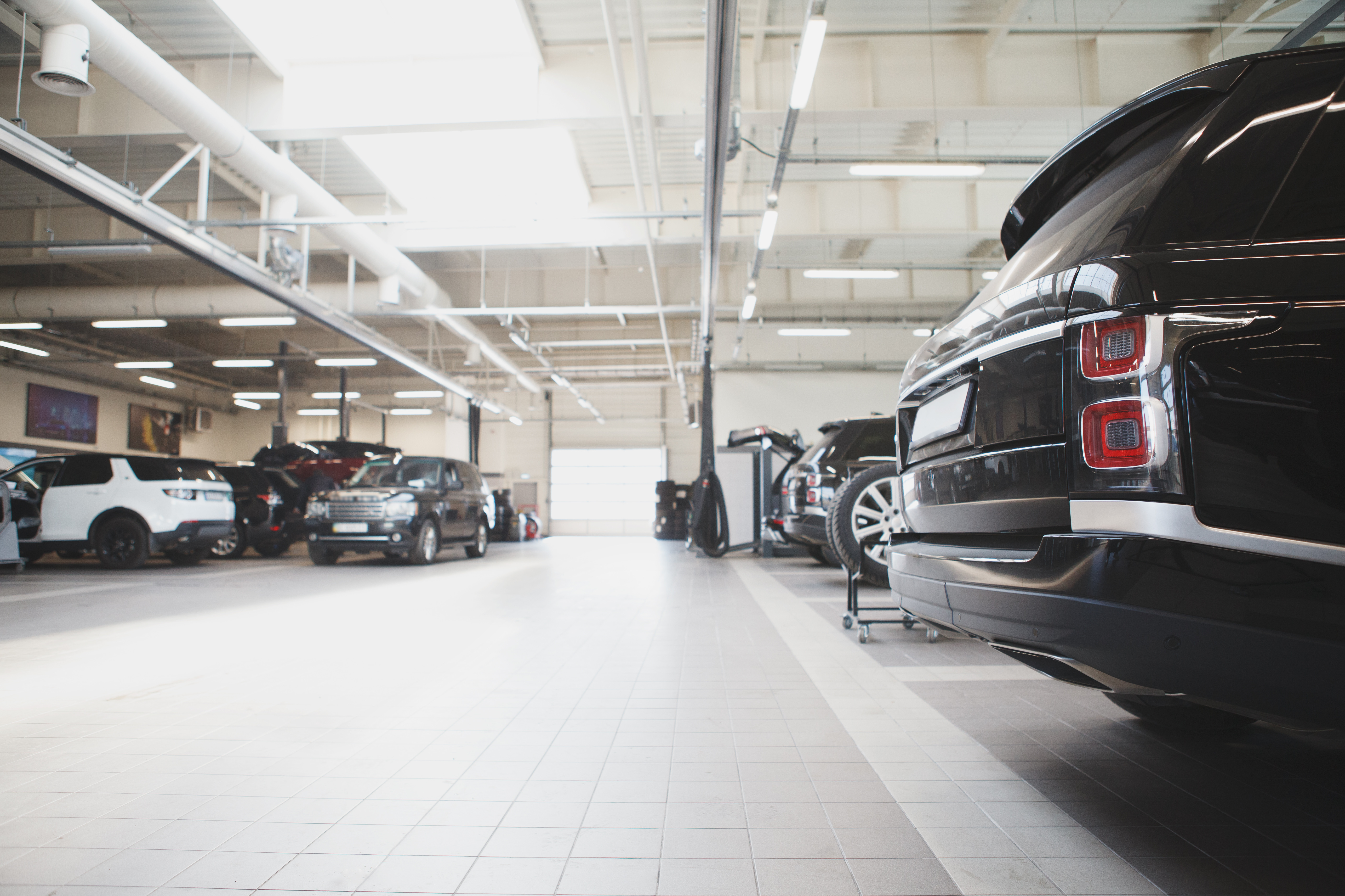 Tax cut likely to drive car sales