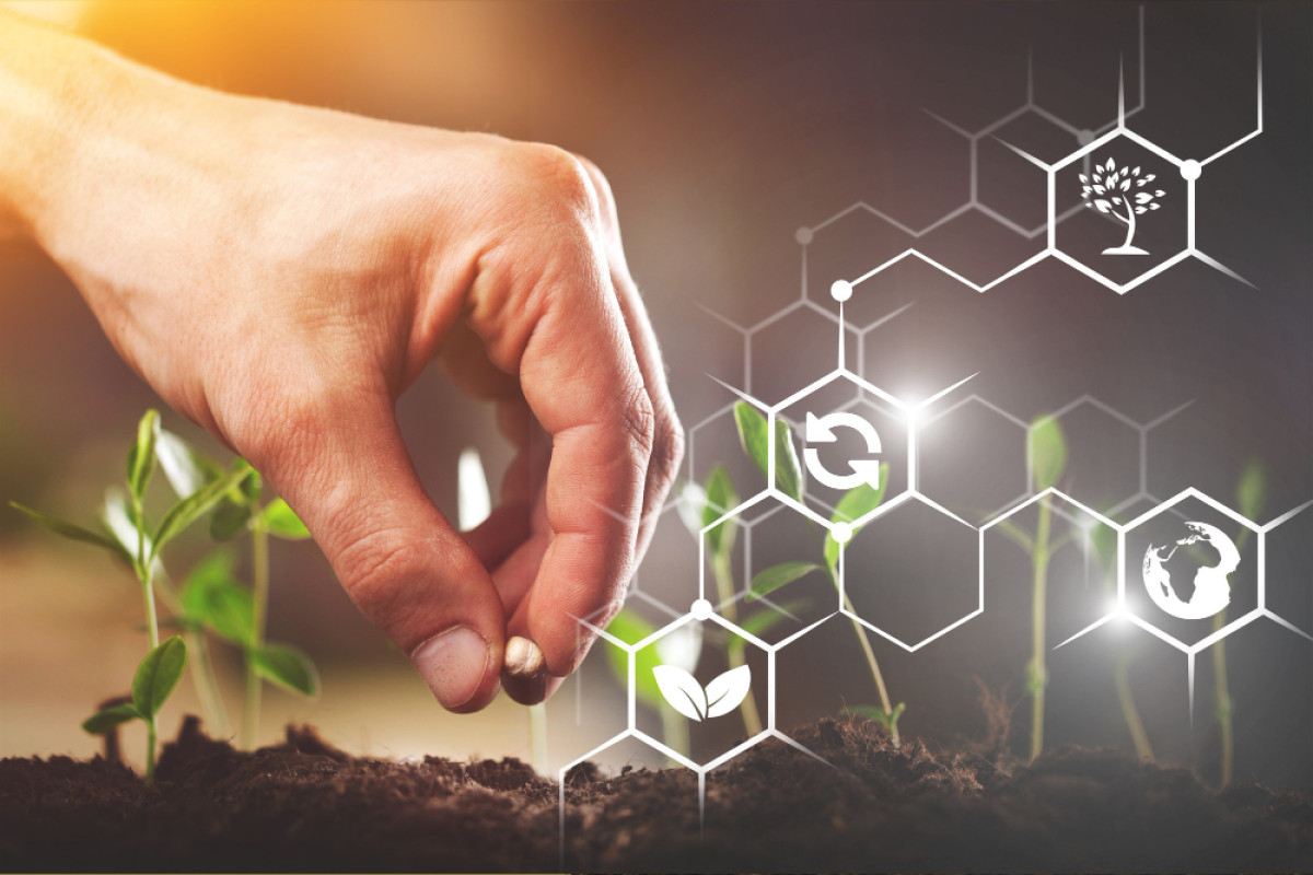 Overcoming Capacity and Compliance Challenges to Strengthen the State’s Agribusiness Network for Sustainable Farming