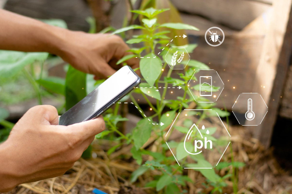 Addressing Sectoral Challenges Through Digital Transformation: Leveraging AI and Data Analytics in Agriculture