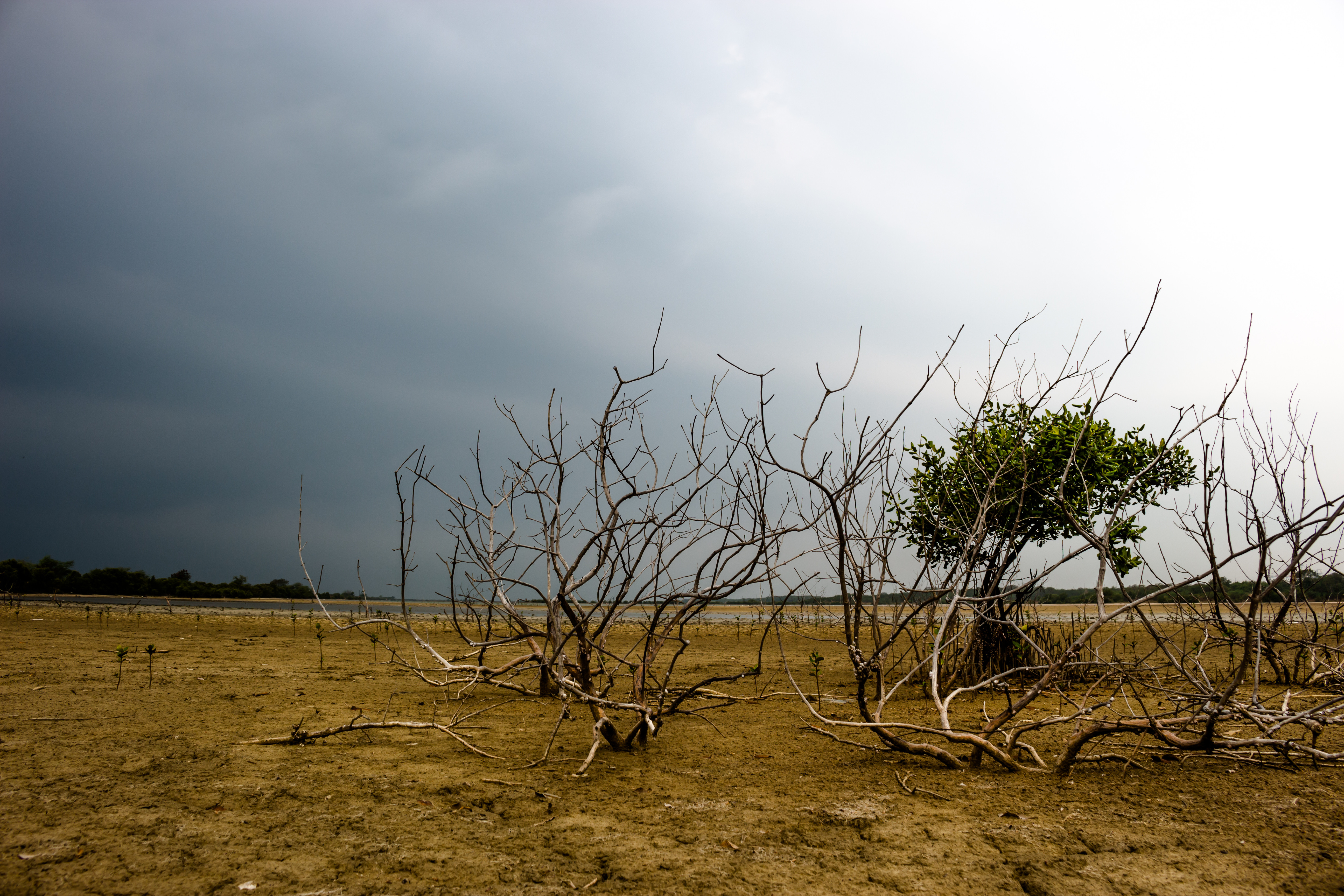 Explained: What's Contributing To Record-Breaking Heat In Kashmir